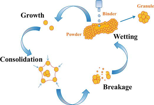 Cycle de la granulation humide : mouillage, croissance, consolidation, rupture